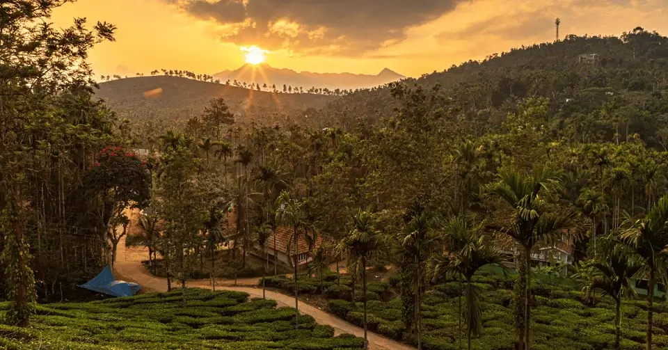 Camp in Wayanad, Kerala